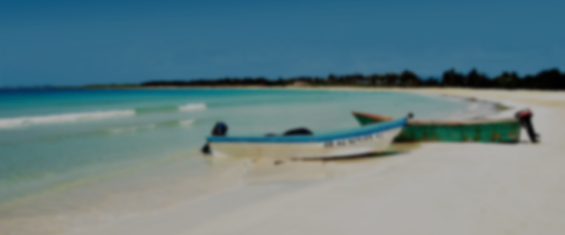 January Weather Forecast in Punta Cana
