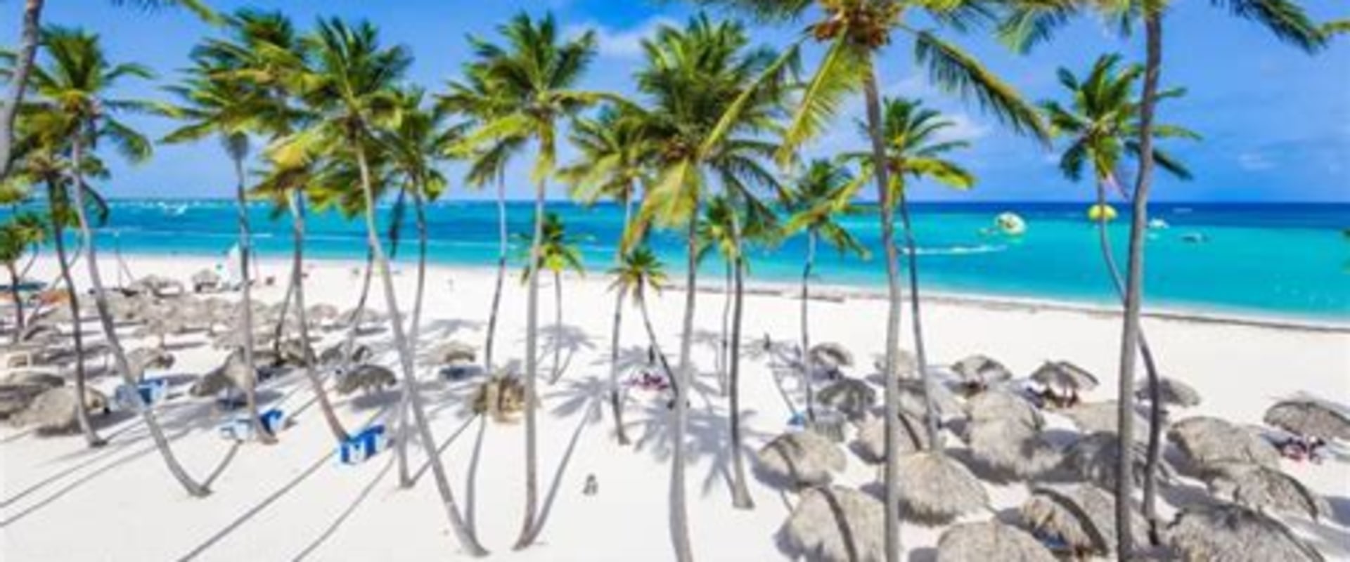 The Ultimate Guide to Tours in Punta Cana