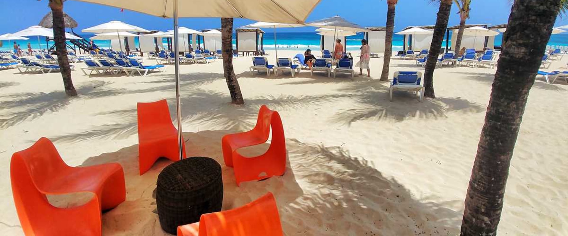 Everything You Need to Know About Casinos in Punta Cana