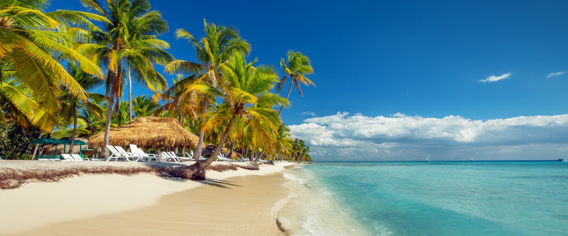 When Is the Best Time to Visit Punta Cana?