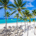 The Ultimate Guide to Tours in Punta Cana