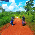 Exploring the Great Outdoors: Hiking and Nature Walks in Punta Cana