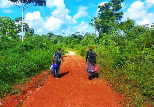 Exploring the Great Outdoors: Hiking and Nature Walks in Punta Cana